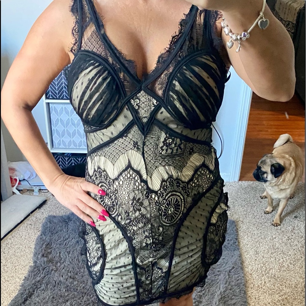 Venus Black and Tan Lace Dress